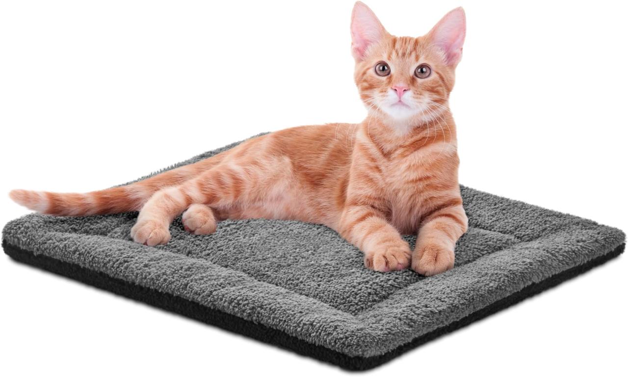 SOICARE Cat Pheromones Calming Diffuser, Cat Anxiety Relief Calming ...